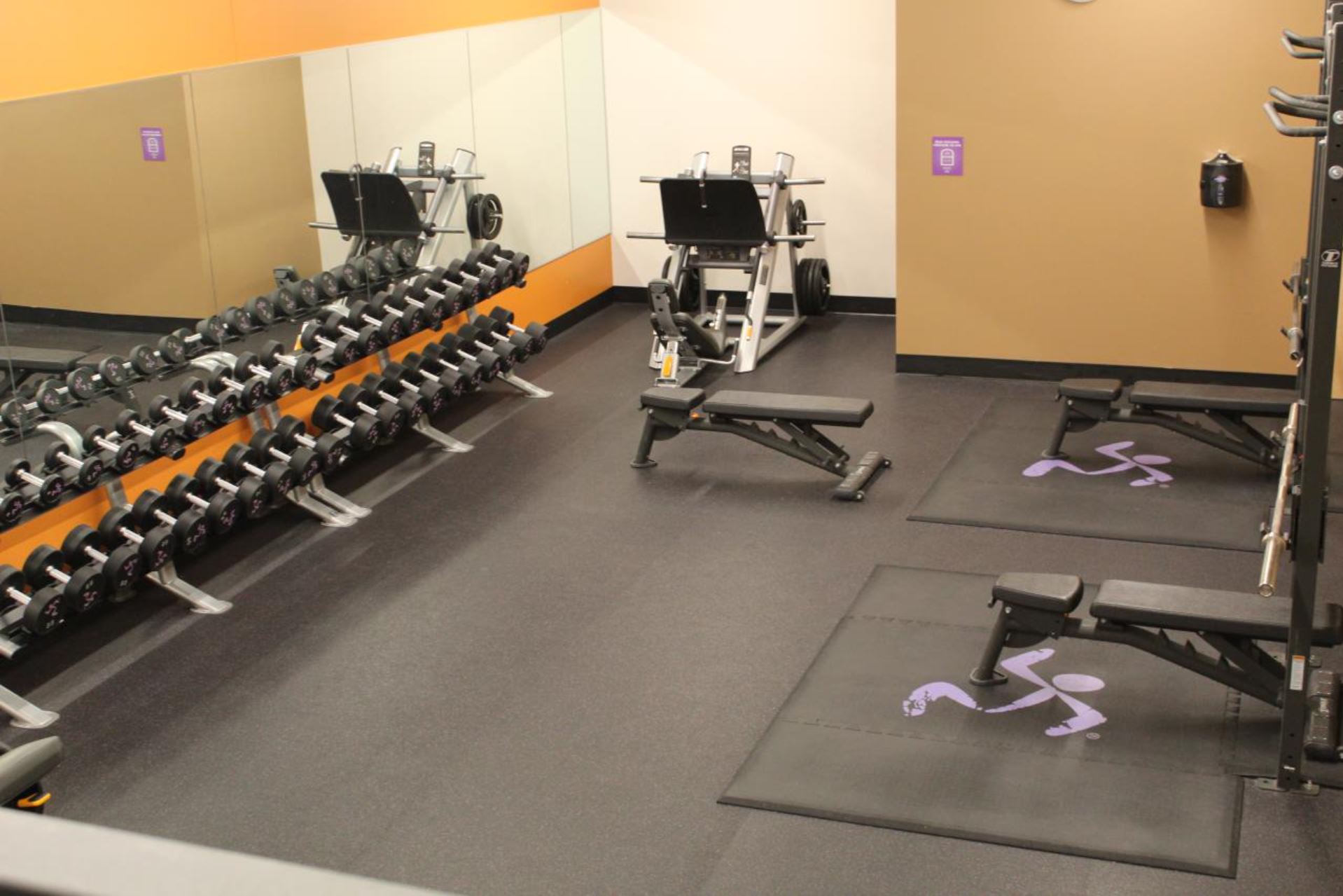 15 Minute What Does An Anytime Fitness Membership Include for Push Pull Legs